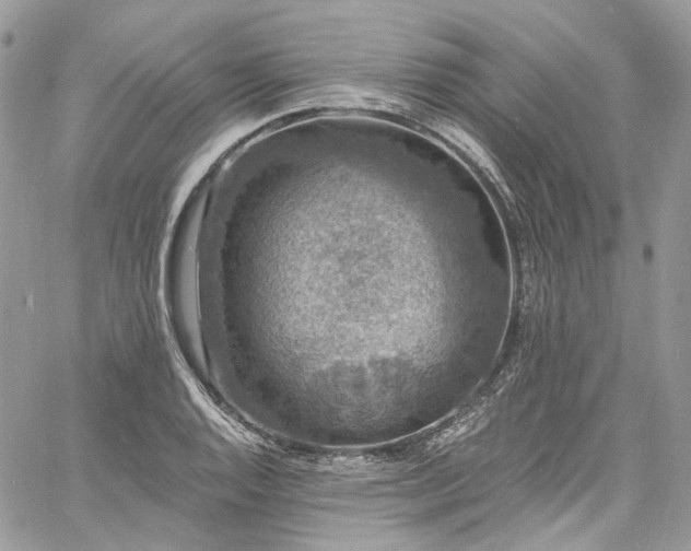 X0000060791128200511171301