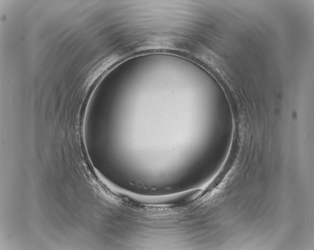 X0000060791129200511171301