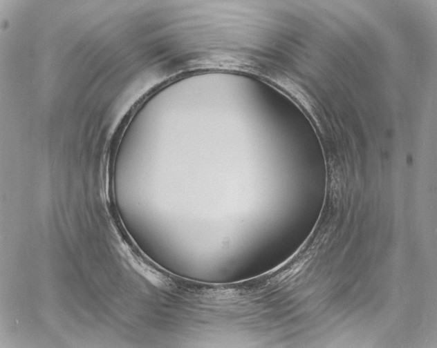 X0000060791131200511171301