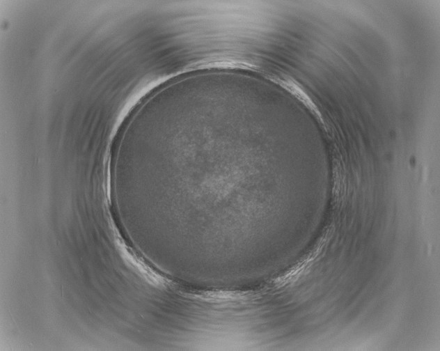 X0000060791132200511171301