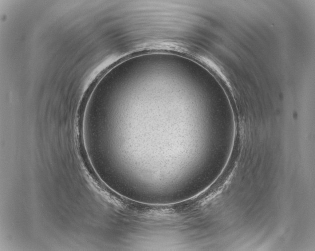 X0000060791133200511171301