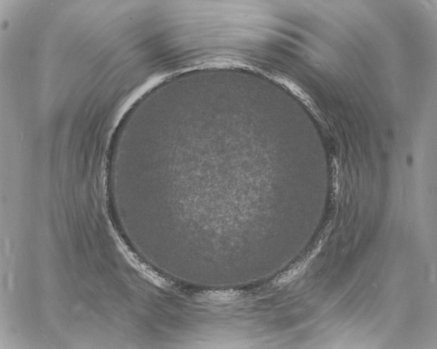 X0000060791134200511171301