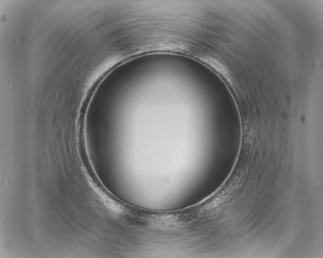 X0000060791135200511171301