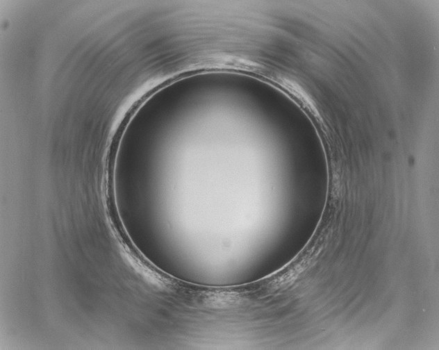 X0000060791136200511171301