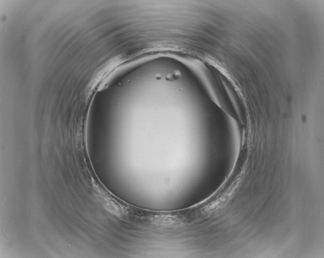 X0000060791137200511171301