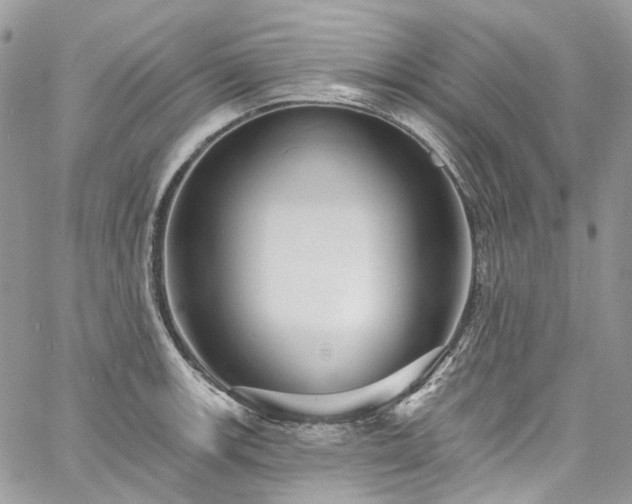 X0000060791139200511171301