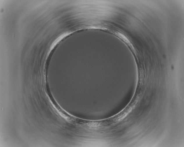 X0000060791141200511171301