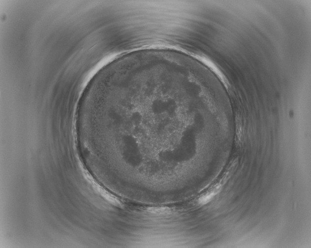 X0000060791142200511171301