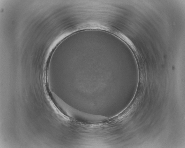 X0000060791144200511171301