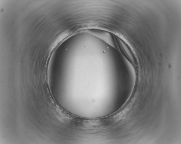 X0000060791145200511171301