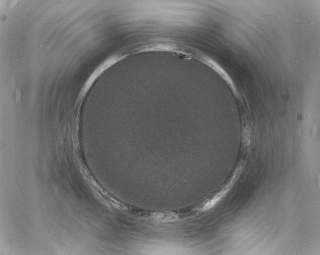 X0000060791146200511171301