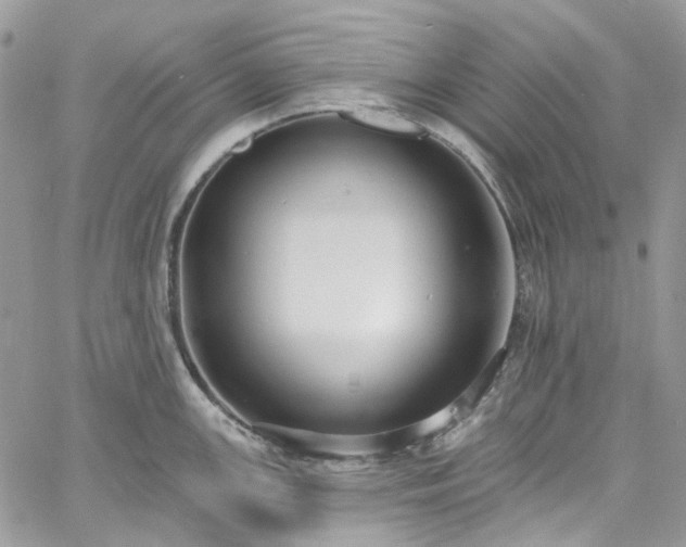 X0000060791147200511171301