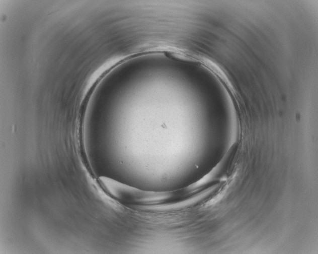 X0000060791149200511171302