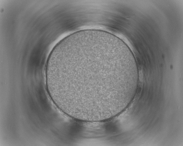 X0000060791150200511171302