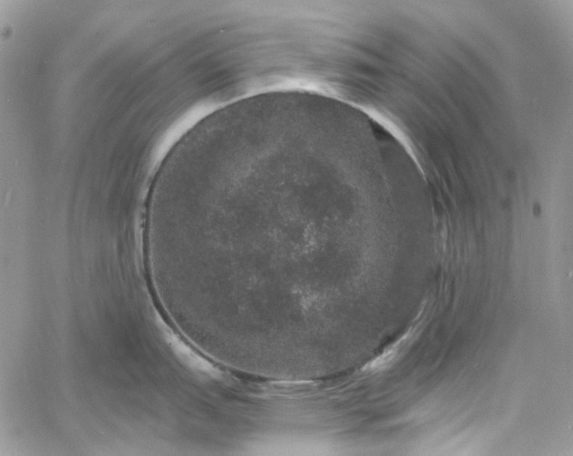 X0000060791151200511171302