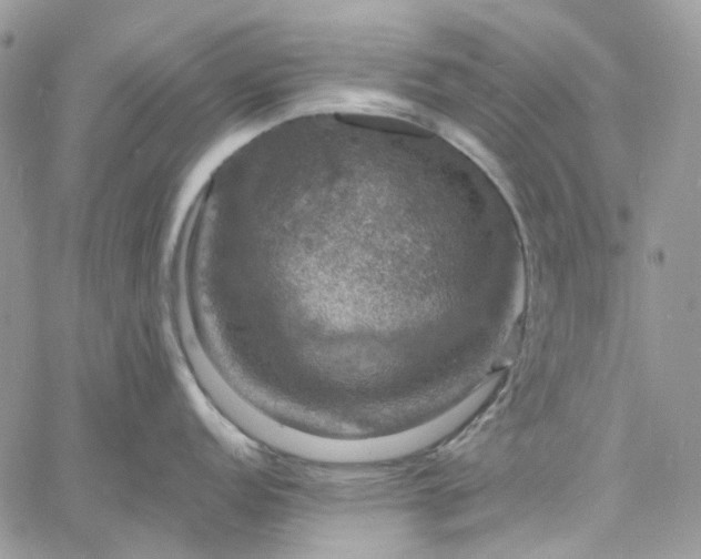 X0000060791152200511171302