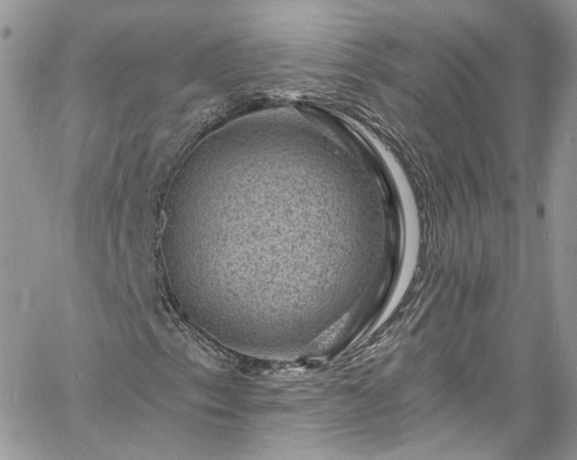 X0000060791153200511171301