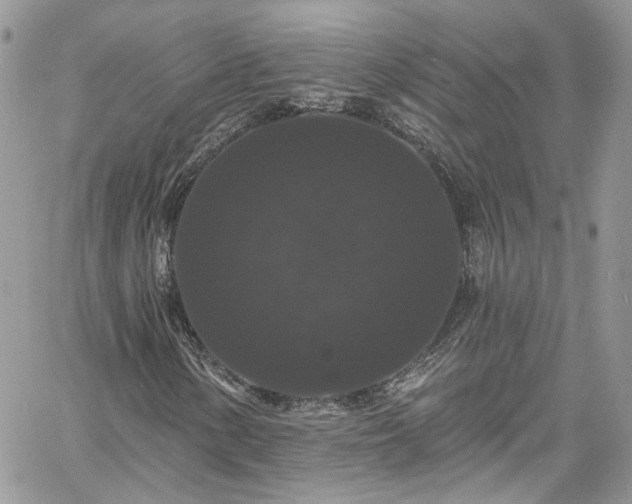 X0000060791154200511171301