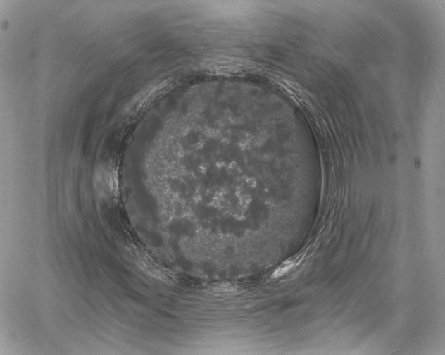 X0000060791155200511171301