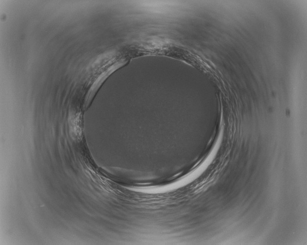 X0000060791156200511171301