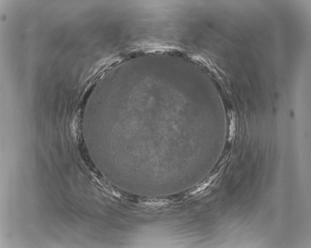 X0000060791157200511171301