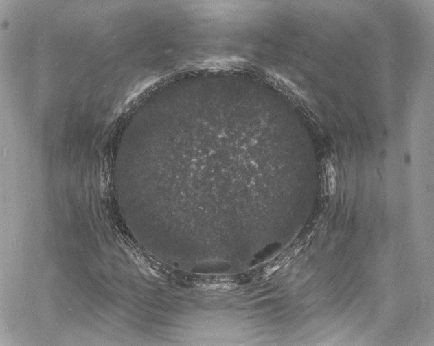 X0000060791158200511171301