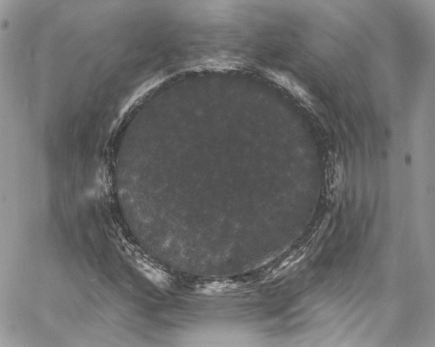 X0000060791160200511171301