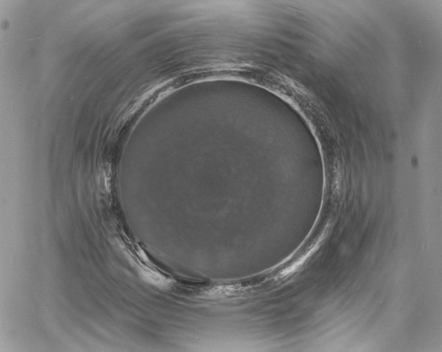 X0000060791161200511171301