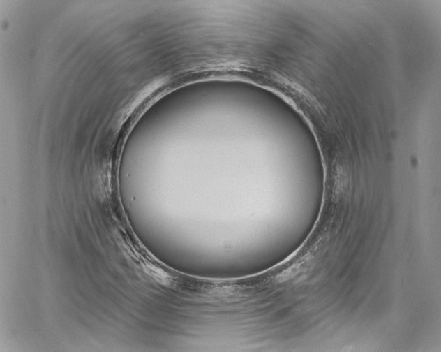 X0000060791162200511171301