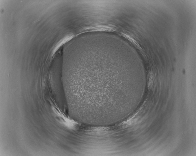 X0000060791163200511171301