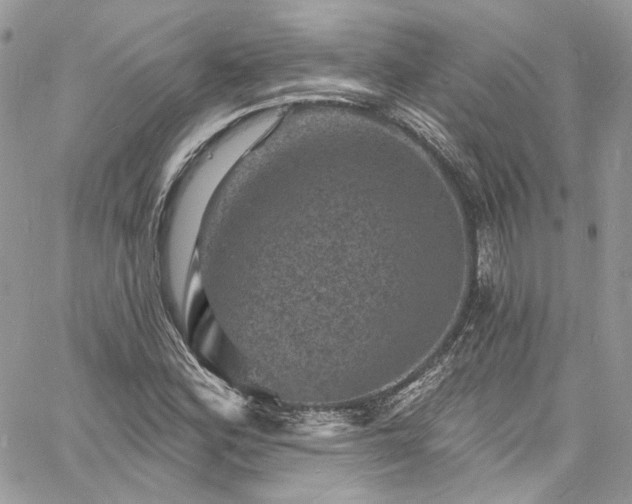 X0000060791164200511171301