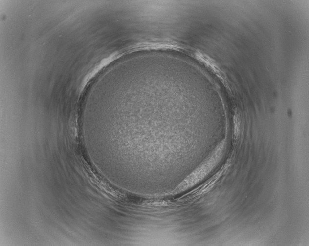 X0000060791165200511171301