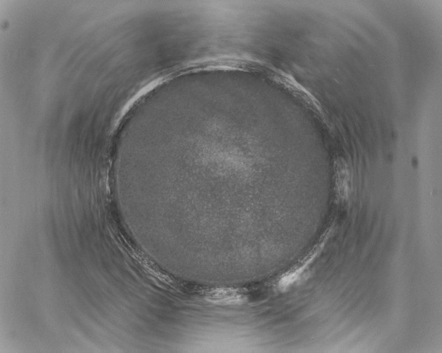 X0000060791166200511171301