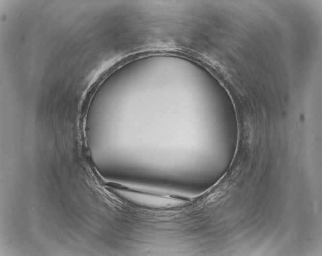 X0000060791168200511171301