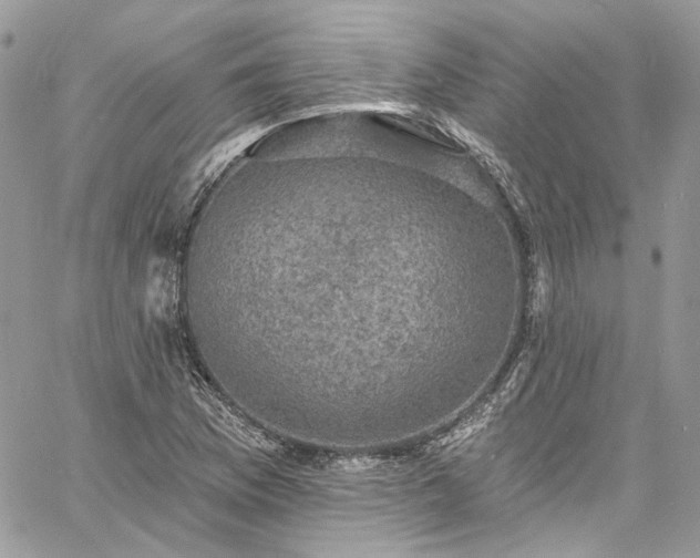 X0000060791169200511171301