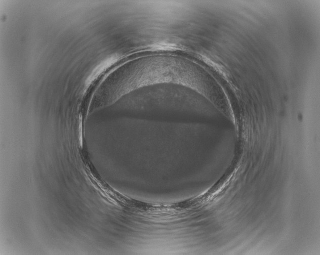 X0000060791171200511171300