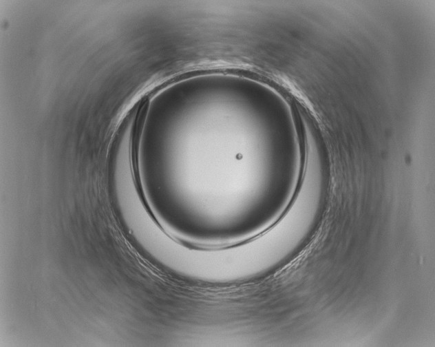 X0000060791173200511171300