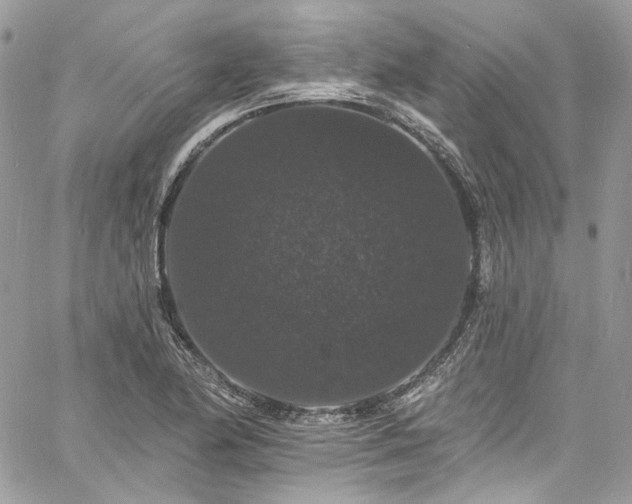 X0000060791174200511171300