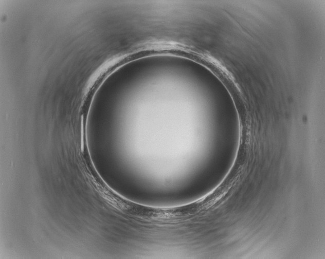 X0000060791175200511171300