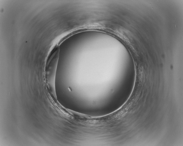 X0000060791176200511171300