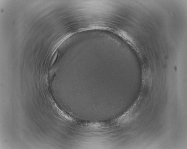 X0000060791177200511171300