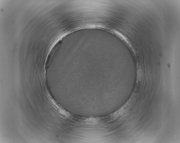 X0000060791178200511171300