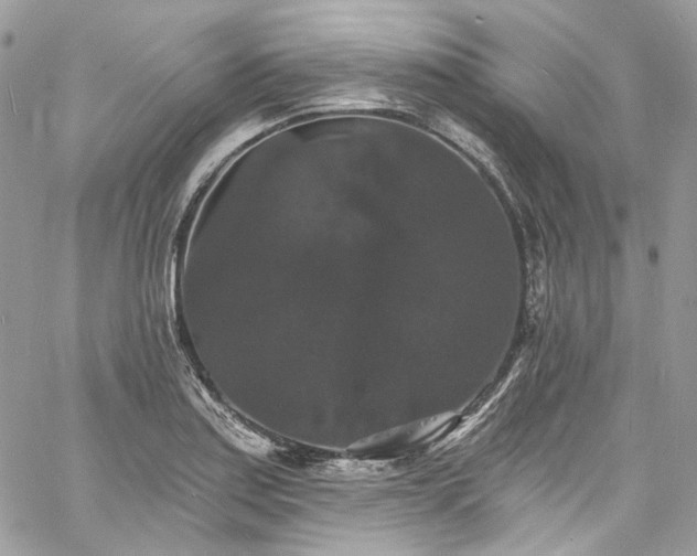 X0000060791179200511171300