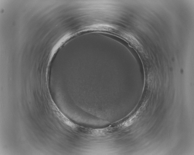 X0000060791180200511171300