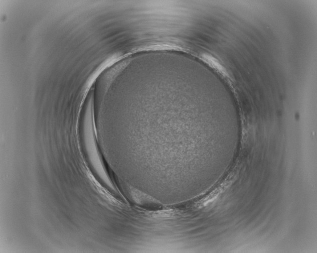 X0000060791181200511171300