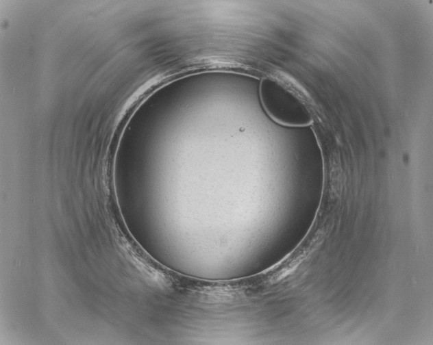 X0000060791182200511171300