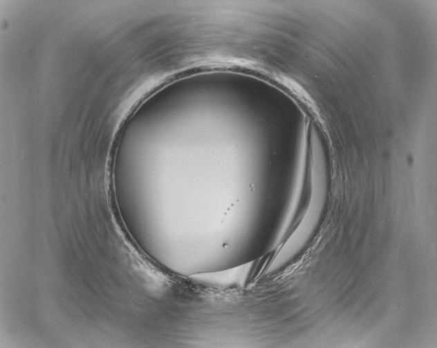 X0000060791183200511171300