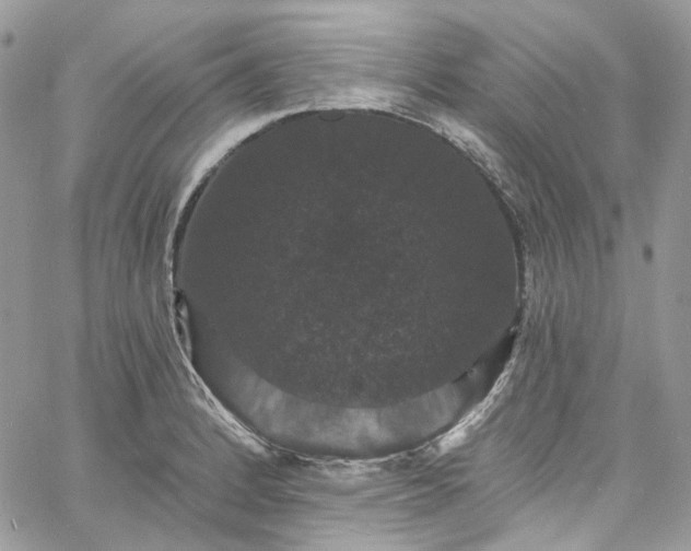 X0000060791184200511171300