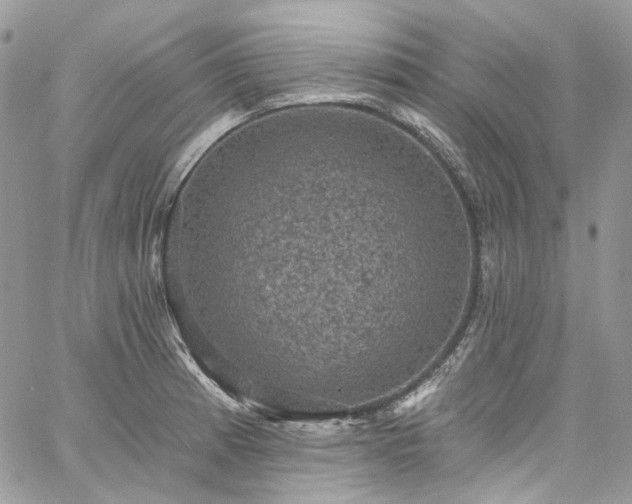 X0000060791185200511171300