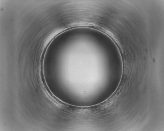 X0000060791187200511171300